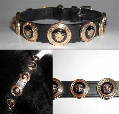 Versace dog collars